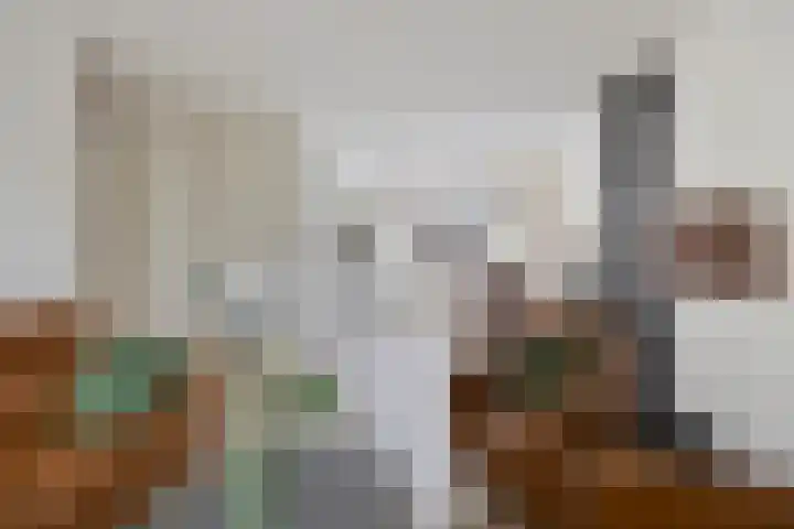 Cromme Ackerstede 76 Vaassen thumbnail 7
