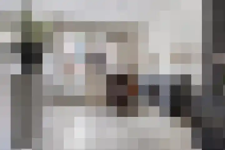 Cromme Ackerstede 76 Vaassen thumbnail 8