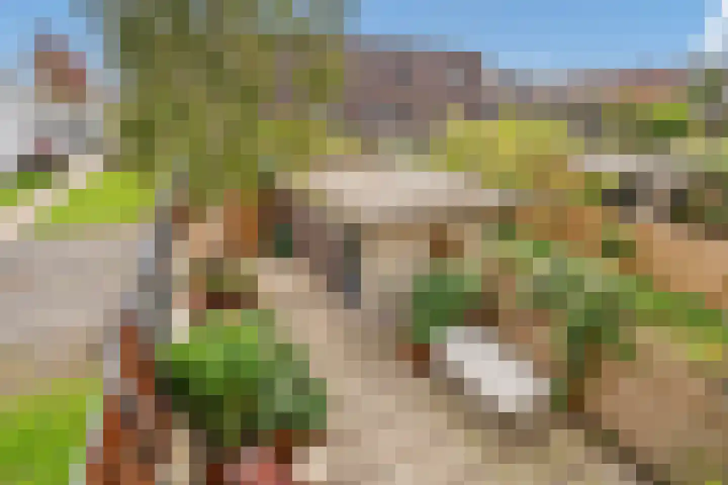 Crommelinlaan 21 Delft thumbnail 23
