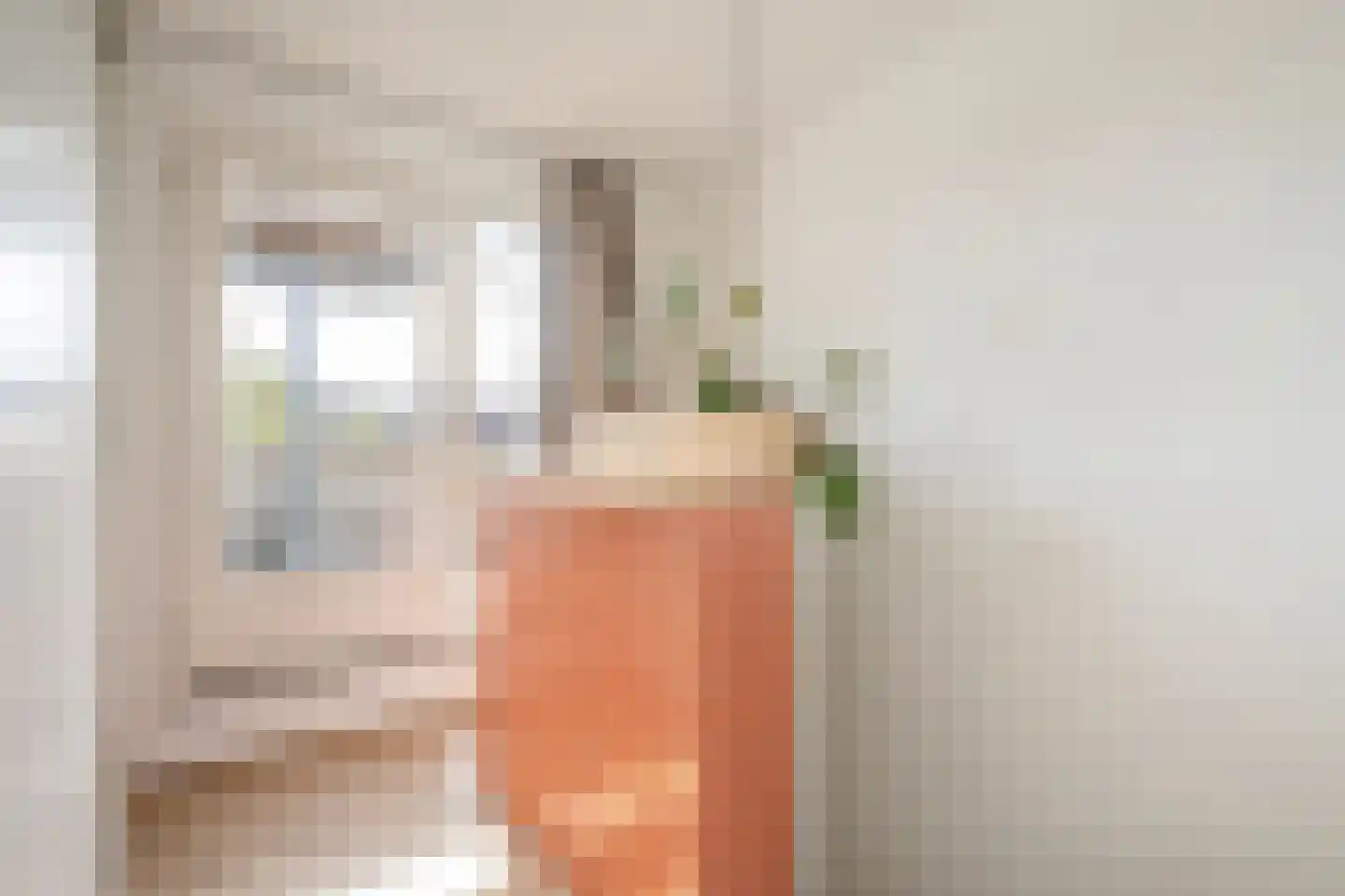 Crommelinlaan 21 Delft thumbnail 33