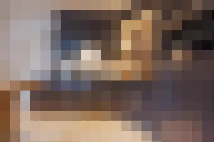 Crommentuijnstraat 12 Meterik thumbnail 11