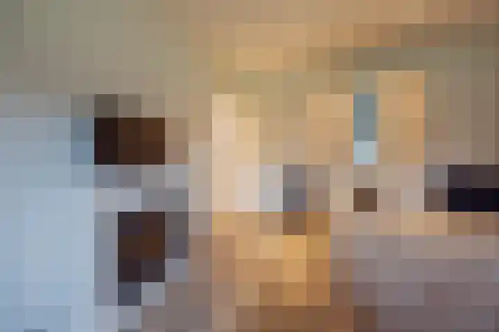 Crommentuijnstraat 12 Meterik thumbnail 20