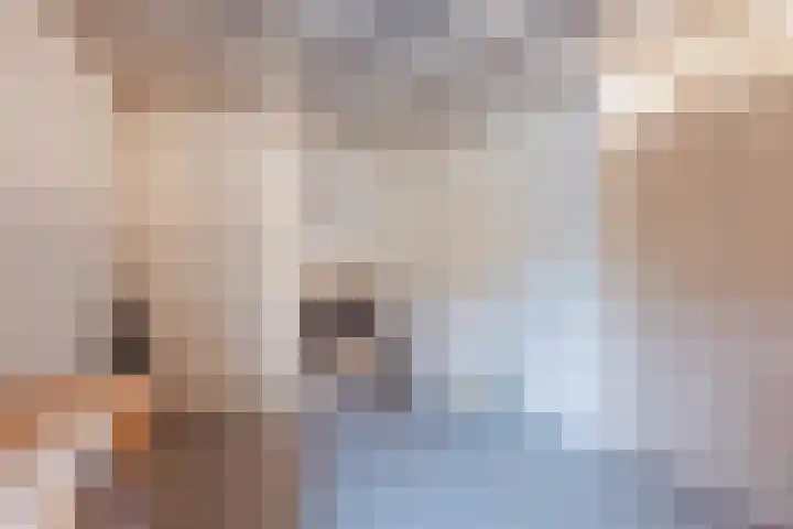 Crommentuijnstraat 12 Meterik thumbnail 33