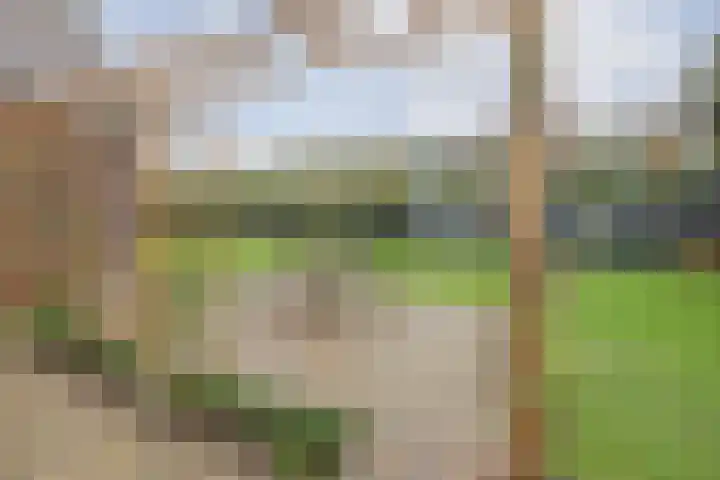 Crommentuijnstraat 12 Meterik thumbnail 41