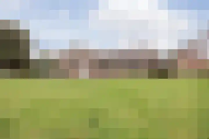 Crommentuijnstraat 12 Meterik thumbnail 43