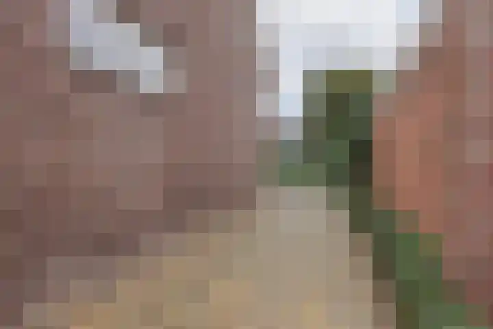 Crommentuijnstraat 12 Meterik thumbnail 48