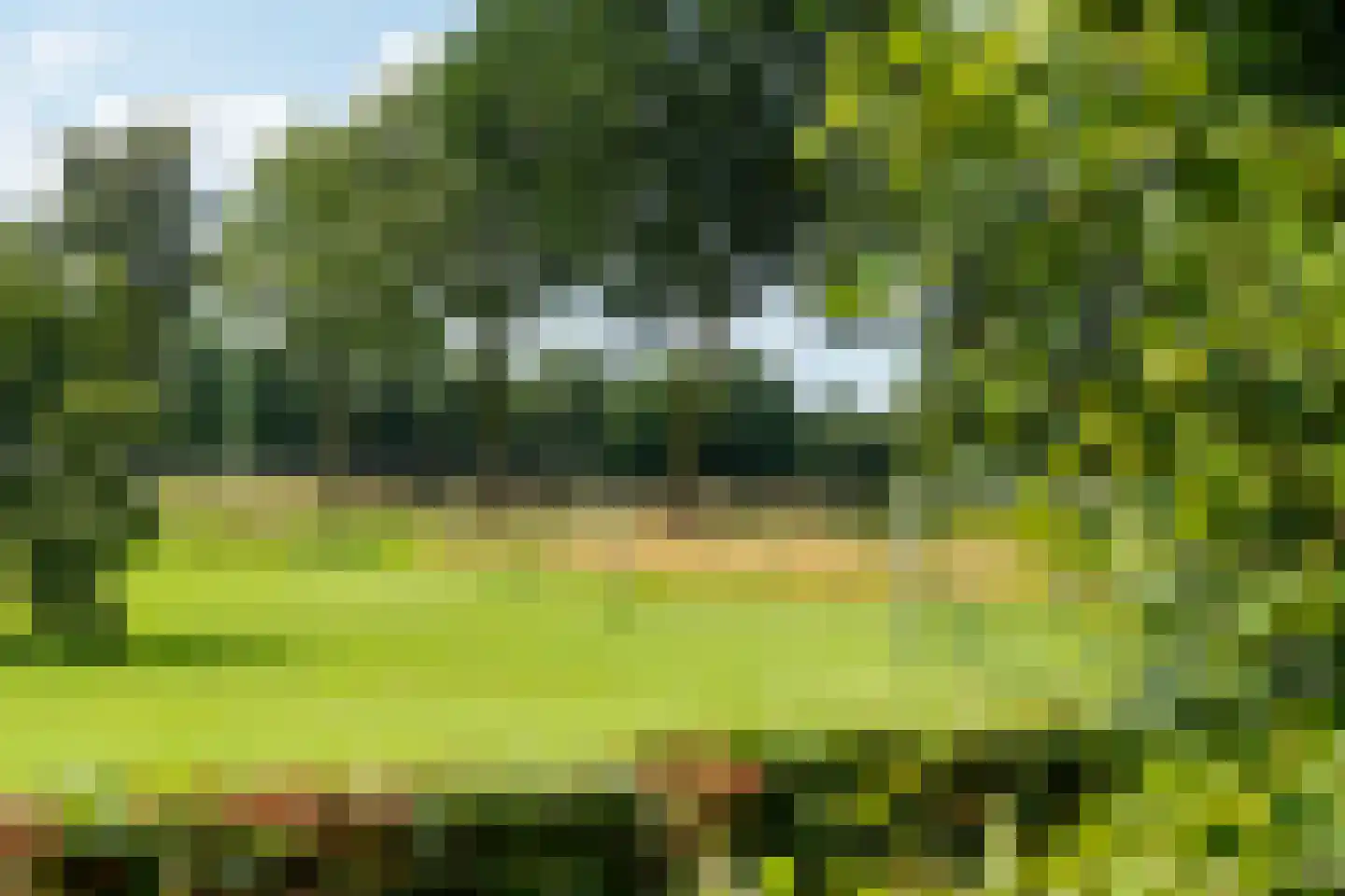 Crommentuijnstraat 51 Meterik thumbnail 10