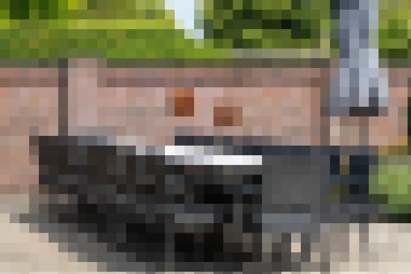 Crommentuijnstraat 51 Meterik thumbnail 11