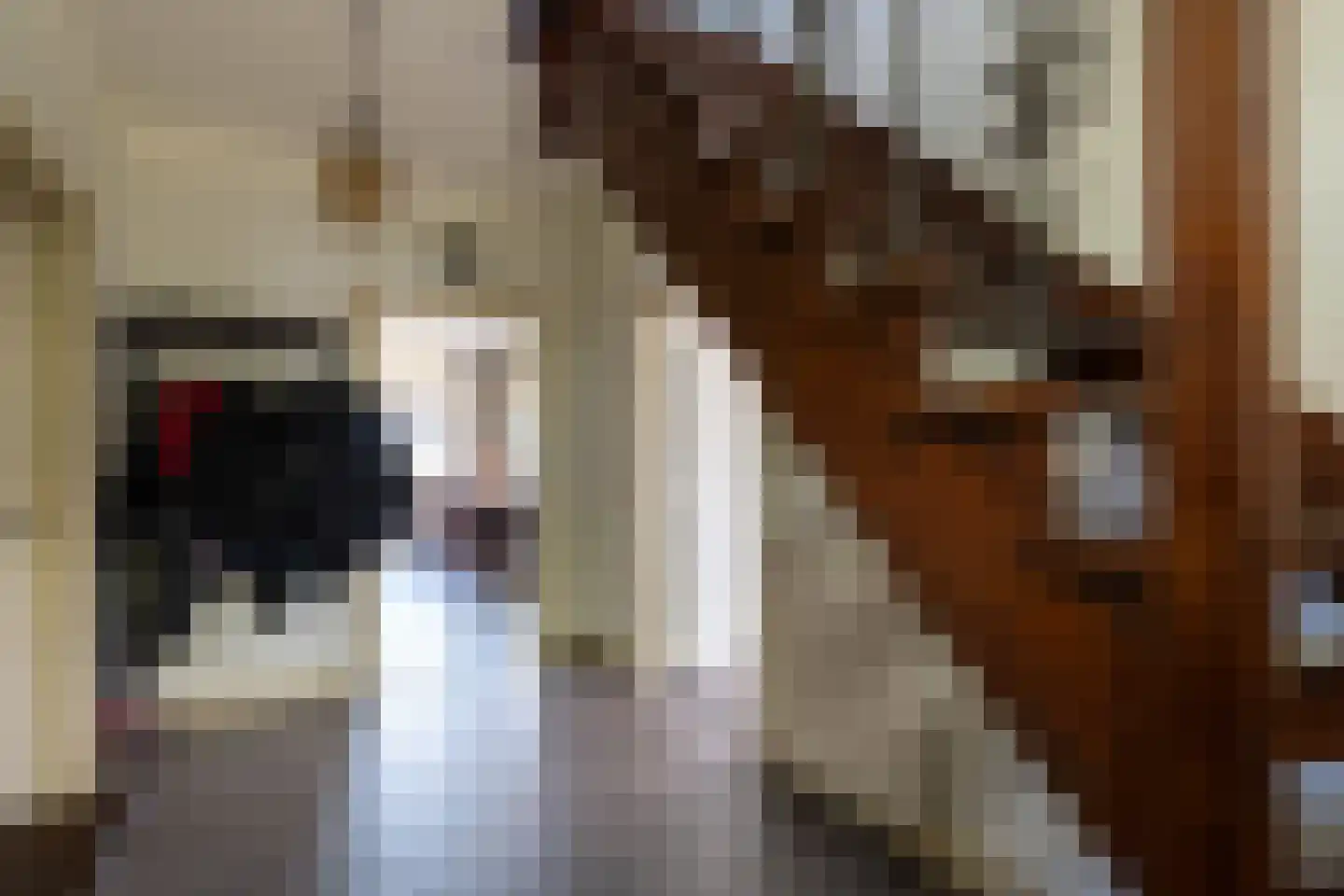 Crommentuijnstraat 51 Meterik thumbnail 33