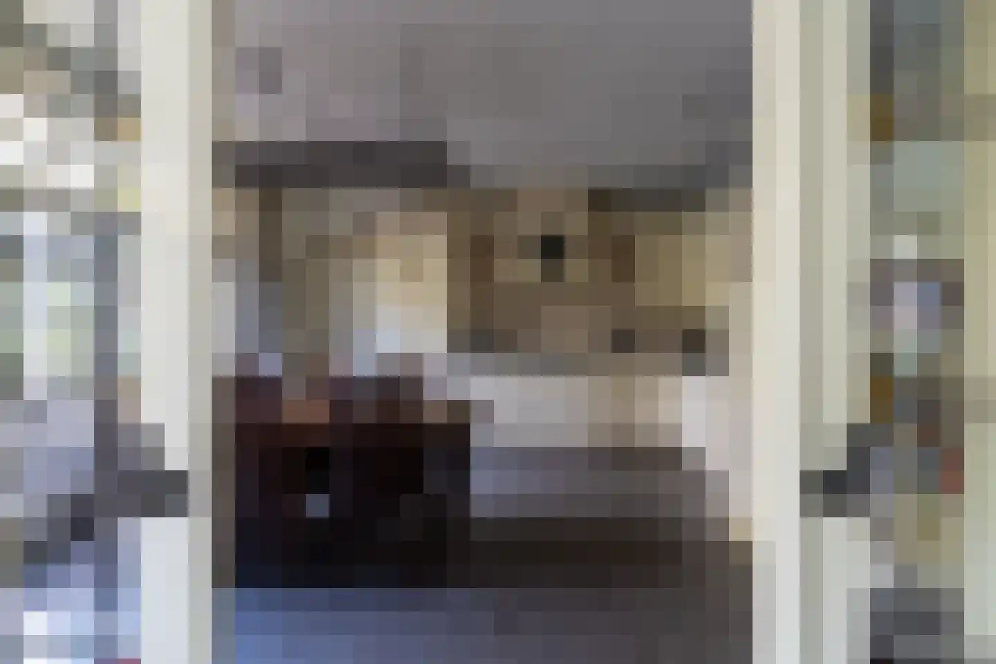 Crommentuijnstraat 51 Meterik thumbnail 35
