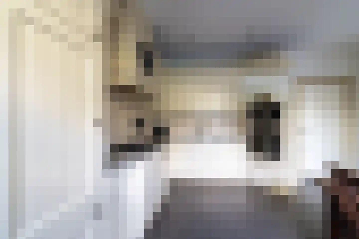 Crommentuijnstraat 51 Meterik thumbnail 36
