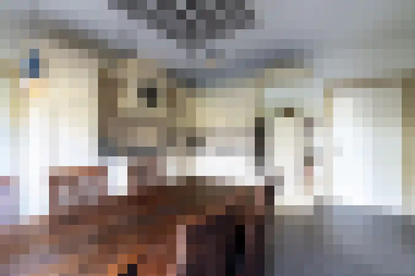Crommentuijnstraat 51 Meterik thumbnail 37