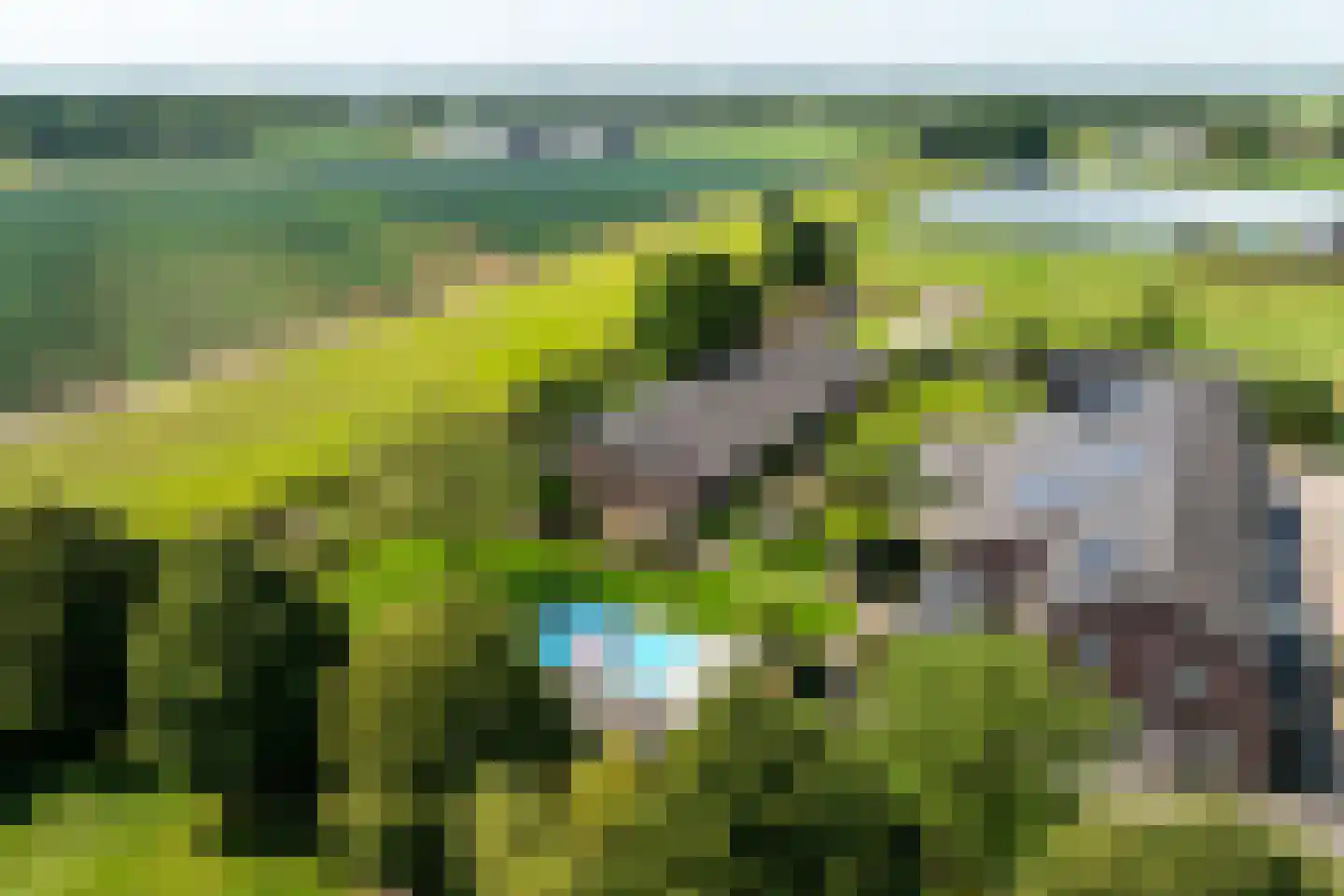 Crommentuijnstraat 51 Meterik thumbnail 4