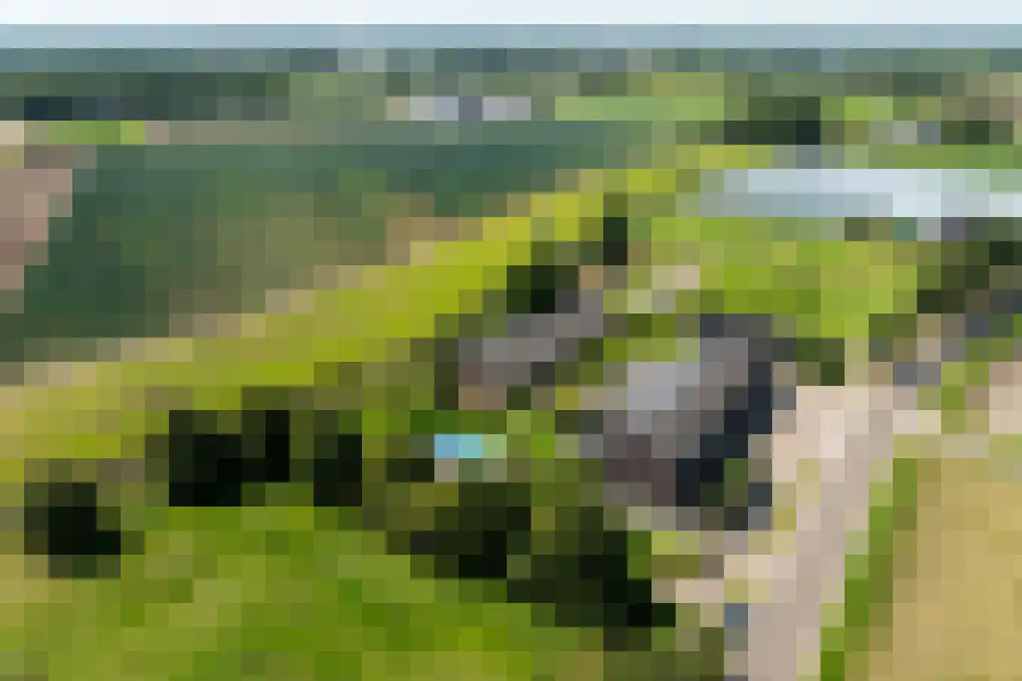 Crommentuijnstraat 51 Meterik thumbnail 46