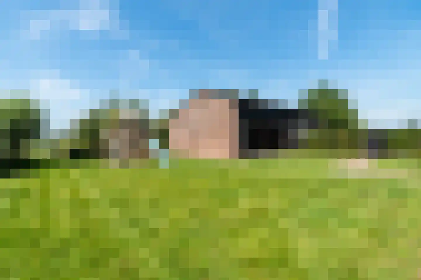 Crommentuijnstraat 51 Meterik thumbnail 48