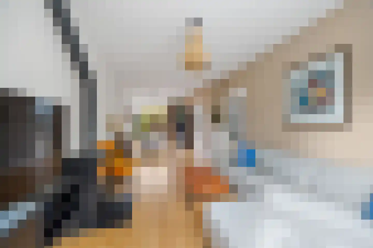 Cromvlietkade 17 Rijswijk thumbnail 10