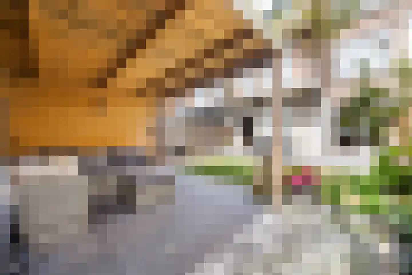 Cromvlietkade 17 Rijswijk thumbnail 20