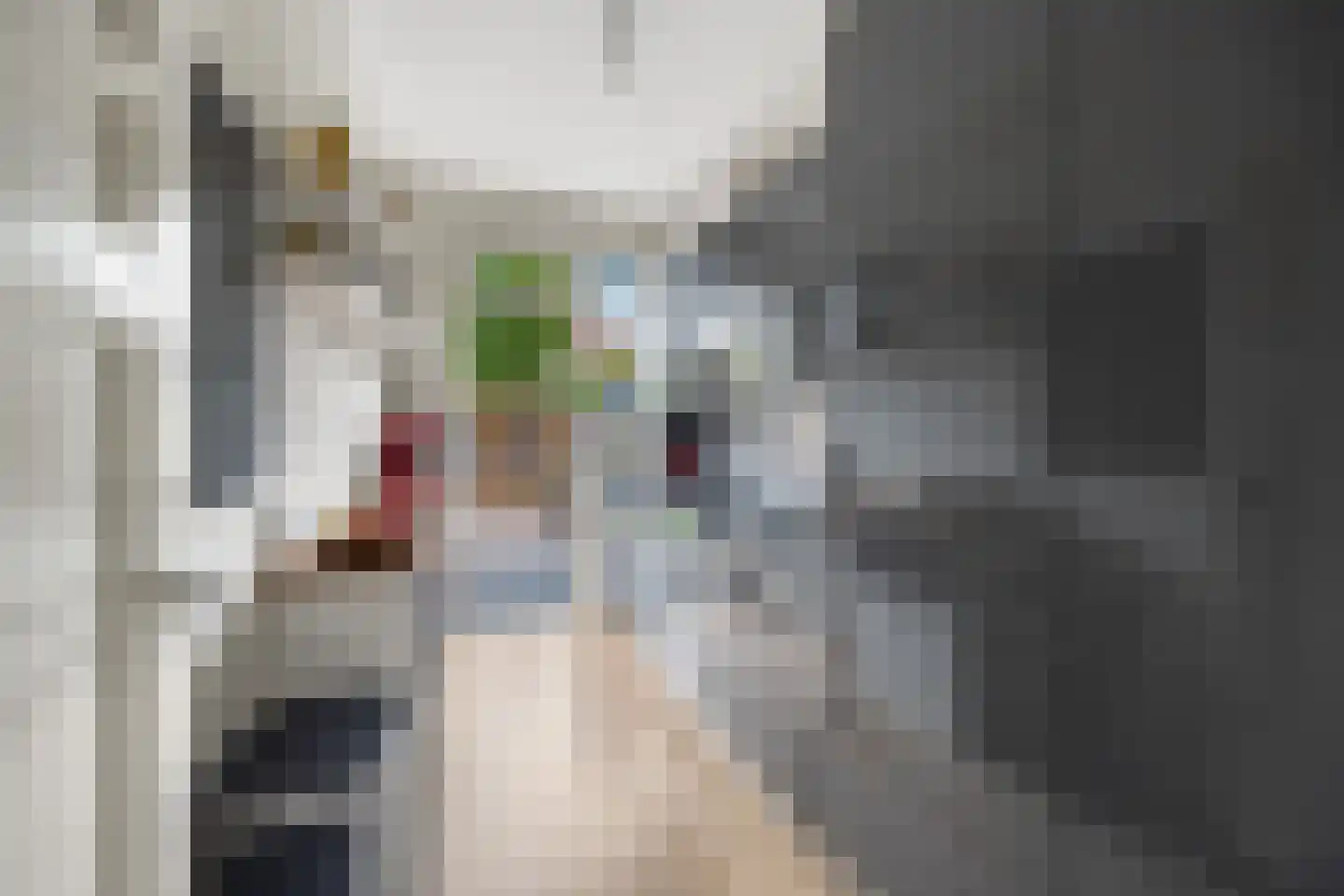 Cromvlietkade 17 Rijswijk thumbnail 28