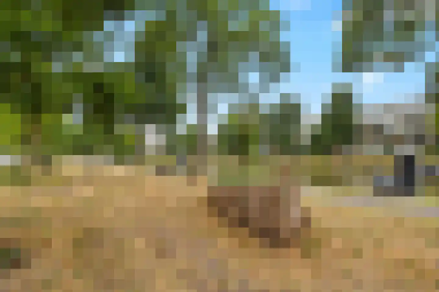 Cromvlietkade 17 Rijswijk thumbnail 31