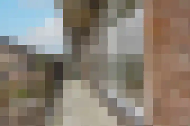 Cromvlietkade 18 Rijswijk thumbnail 25