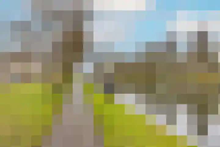 Cromvlietkade 18 Rijswijk thumbnail 31