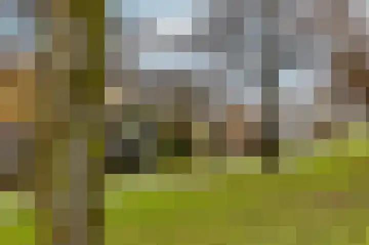 Cromvlietkade 18 Rijswijk thumbnail 32