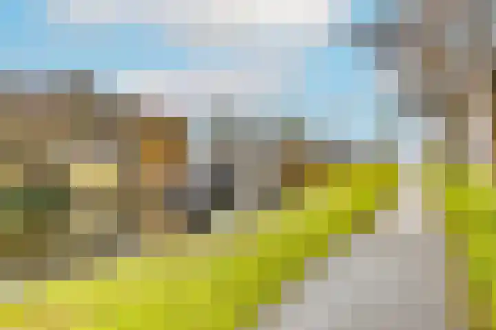 Cromvlietkade 18 Rijswijk thumbnail 33
