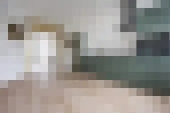 Cromvlietkade 18 Rijswijk thumbnail 6