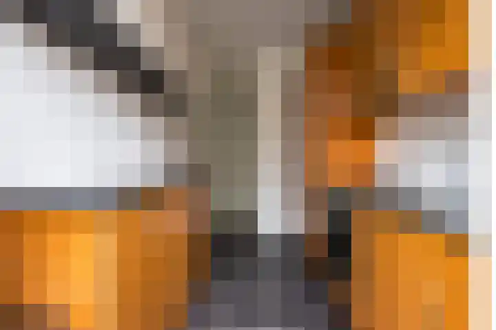 Cromvlietkade 22 Rijswijk thumbnail 15