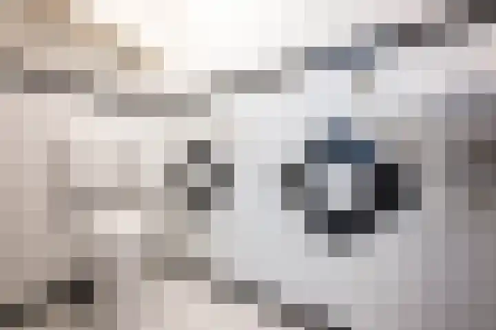 Cromvlietkade 22 Rijswijk thumbnail 24