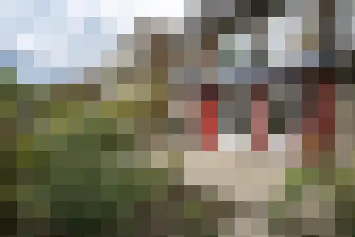 Cromvlietkade 22 Rijswijk thumbnail 29