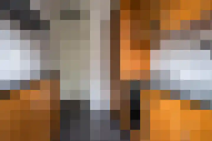 Cromvlietkade 22 Rijswijk thumbnail 4