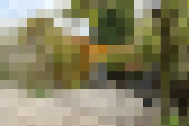 Cromvlietkade 22 Rijswijk thumbnail 5