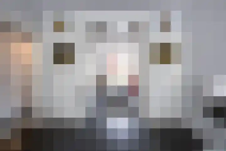 Cromvlietkade 22 Rijswijk thumbnail 8