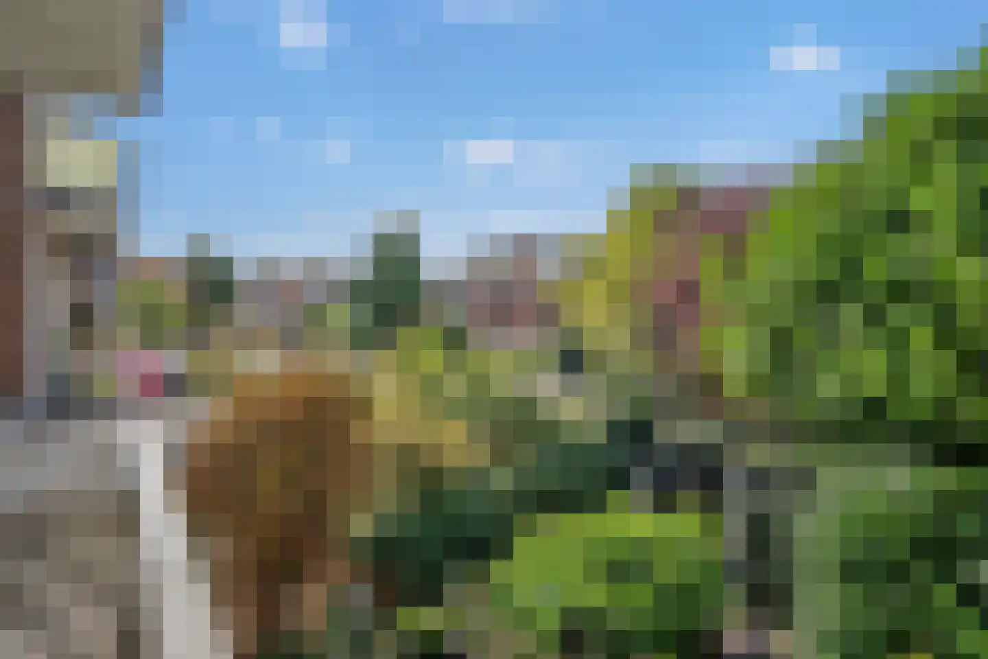 Cromvlietkade 30 Rijswijk thumbnail 28