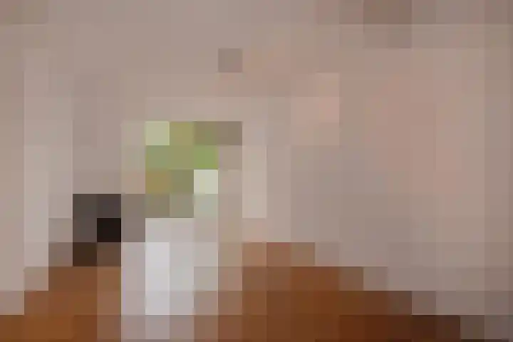 Cromvlietkade 57 Rijswijk thumbnail 16