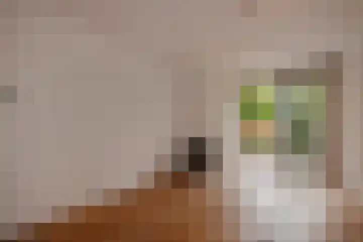 Cromvlietkade 57 Rijswijk thumbnail 17