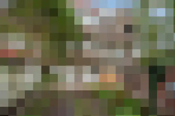 Cromvlietkade 57 Rijswijk thumbnail 20