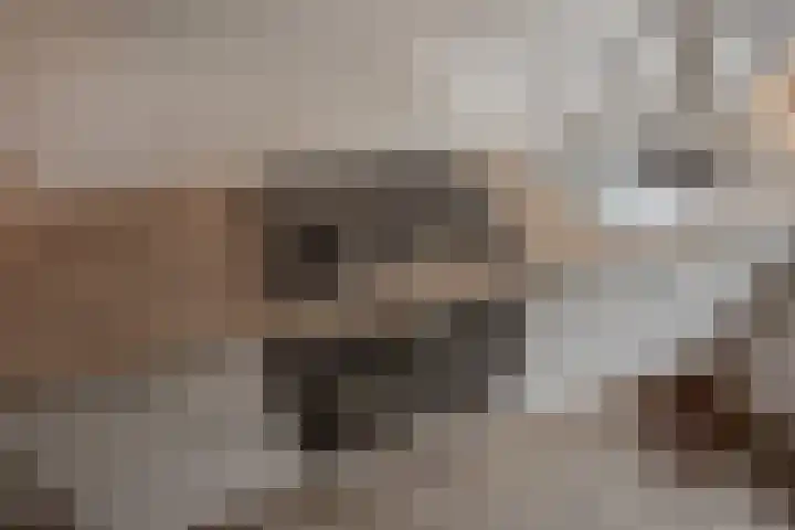 Cromvlietkade 57 Rijswijk thumbnail 21
