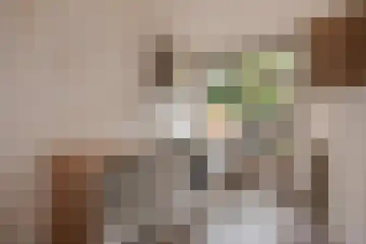 Cromvlietkade 57 Rijswijk thumbnail 22