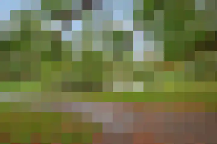 Cromvlietkade 57 Rijswijk thumbnail 30