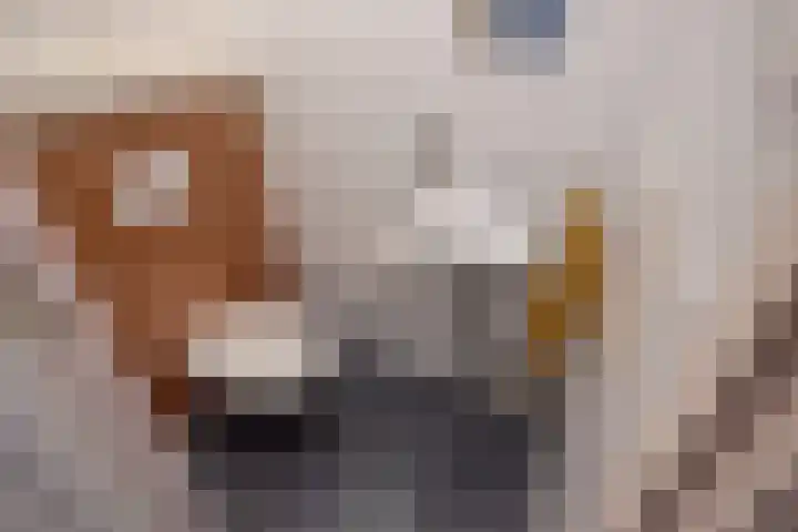 Cromvlietkade 57 Rijswijk thumbnail 6