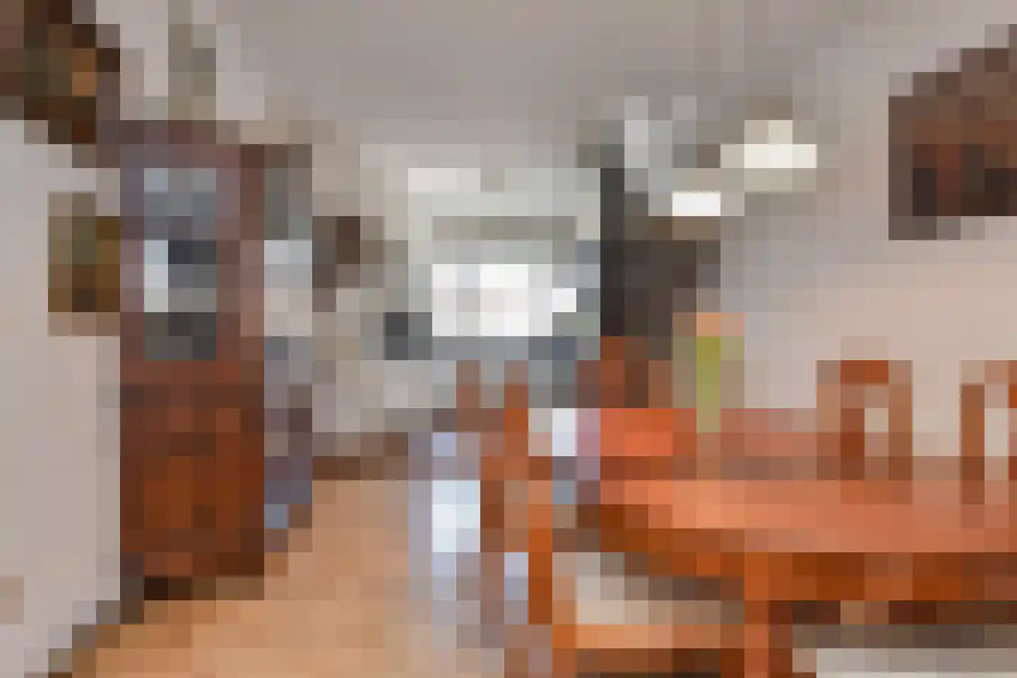 Cromvlietkade 61 Rijswijk thumbnail 10