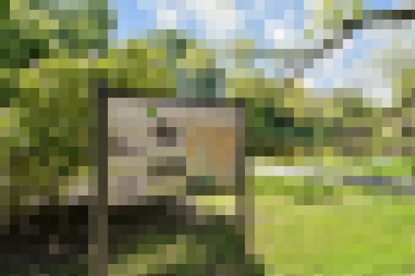 Cromvlietkade 61 Rijswijk thumbnail 30