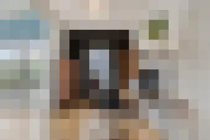 Cromvlietstraat 4 Rilland thumbnail 12