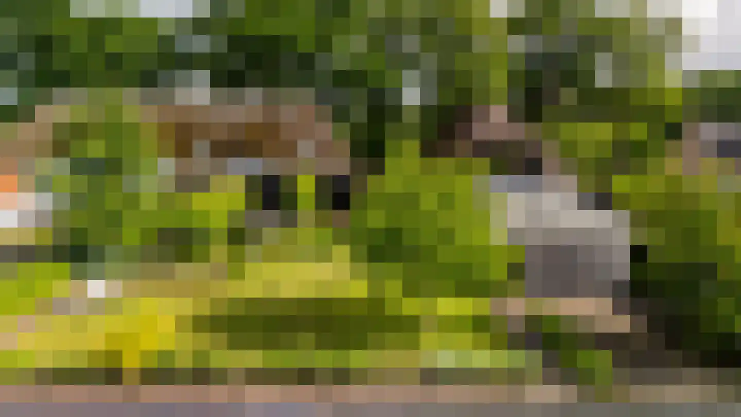 Cromvoirtseweg 5 Helvoirt thumbnail 4