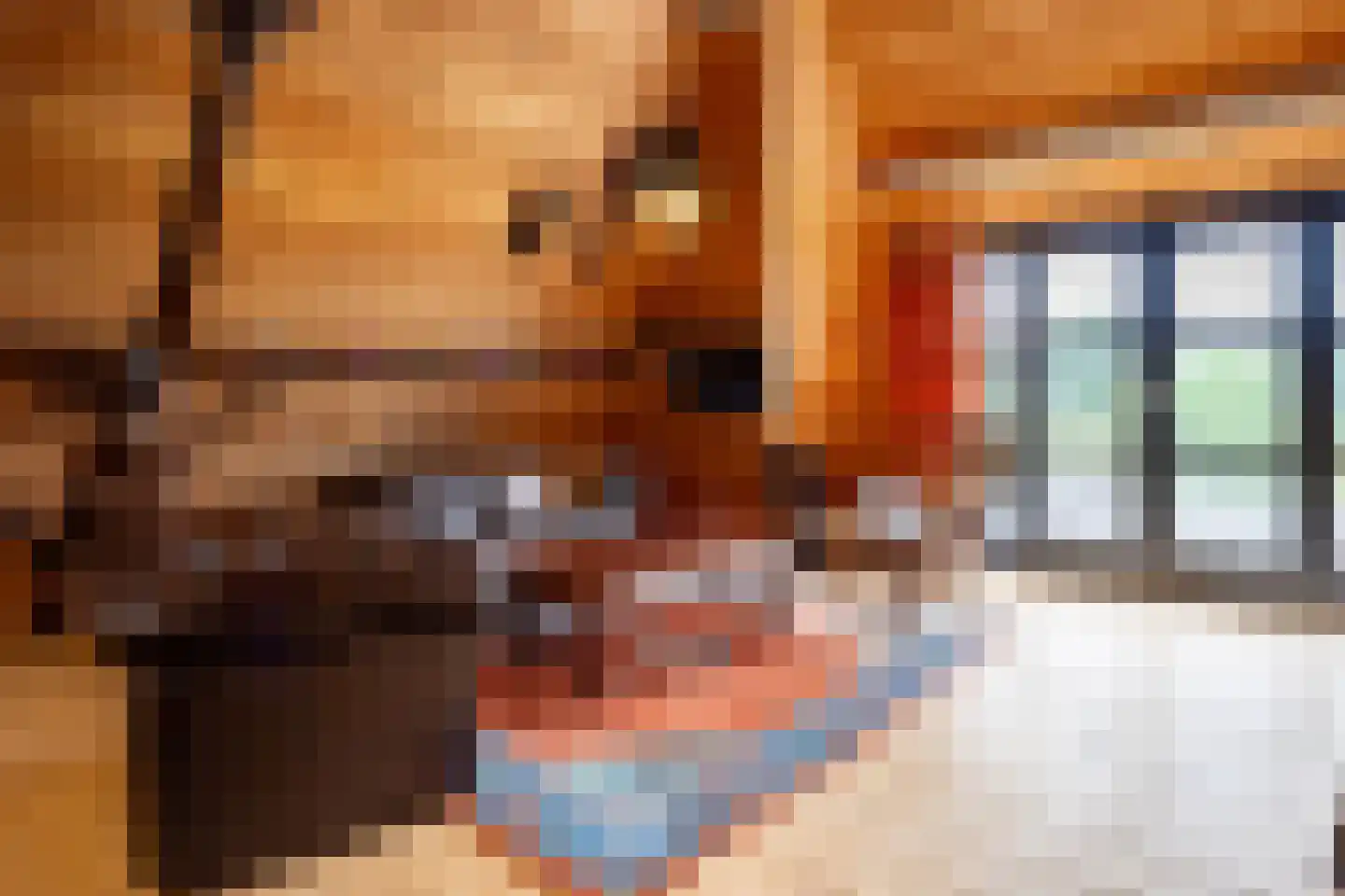 Cromvoirtseweg 5 Helvoirt thumbnail 43