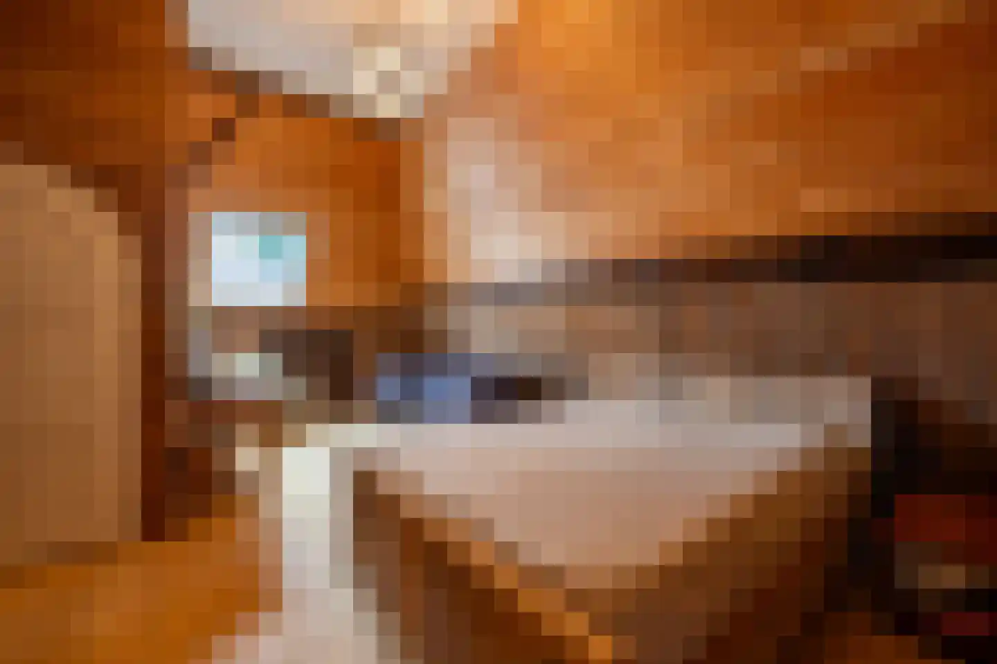 Cromvoirtseweg 5 Helvoirt thumbnail 45