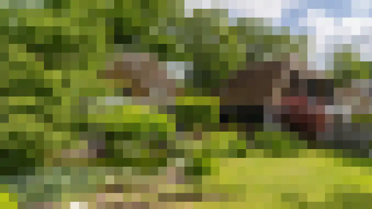 Cromvoirtseweg 5 Helvoirt thumbnail 47