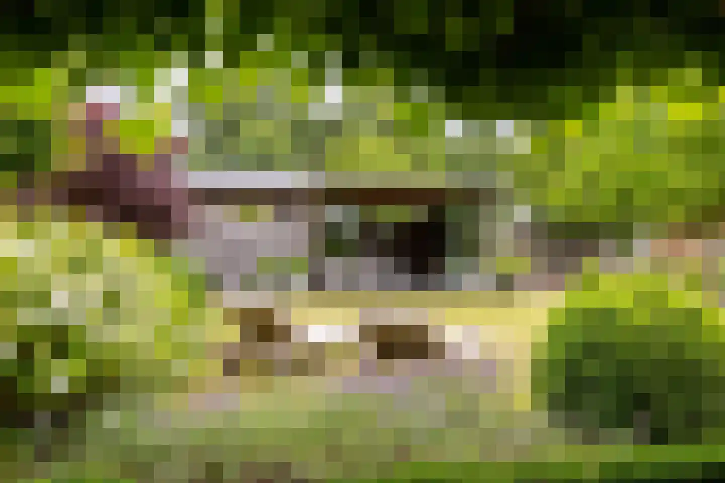 Cromvoirtseweg 5 Helvoirt thumbnail 48